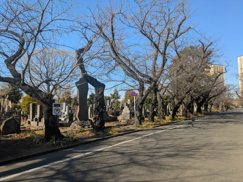 谷中霊園の画像2