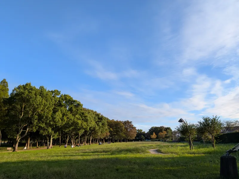 水元公園の画像1