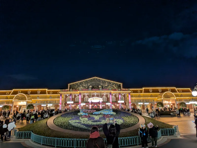 ミッキー花壇の画像2