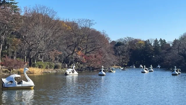 井の頭恩賜公園の画像1