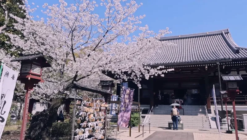 東叡山 寛永寺 開山堂の画像1