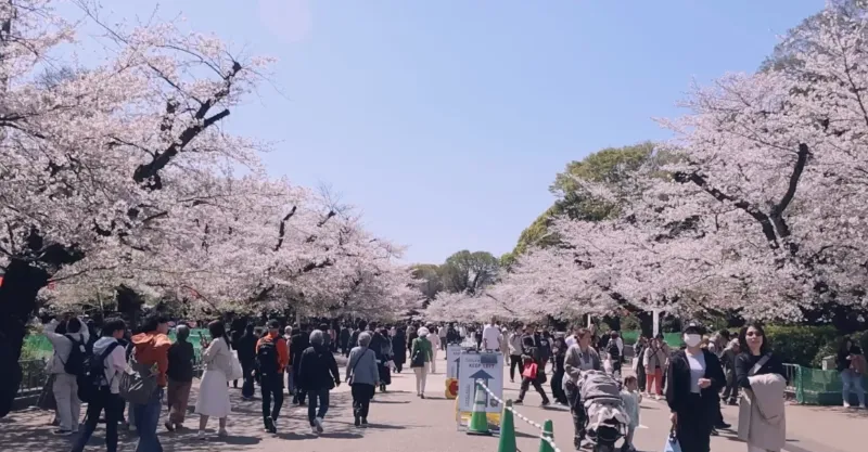 上野恩賜公園の画像1