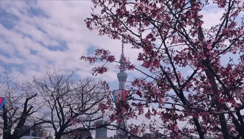 台東区立隅田公園の画像2