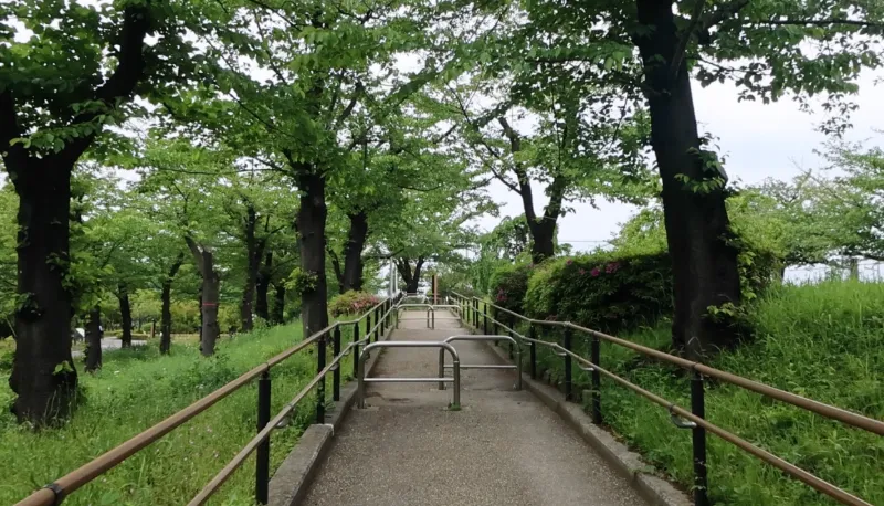 隅田公園の画像1
