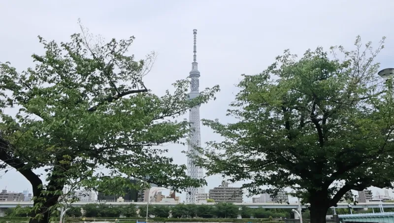 隅田公園の画像2