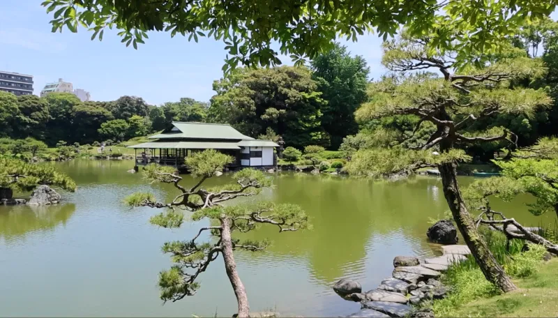 清澄庭園の画像1