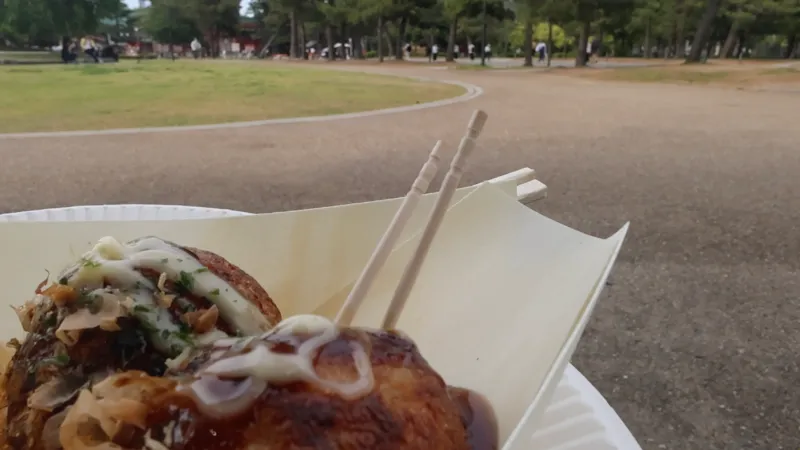 岡崎公園の画像1
